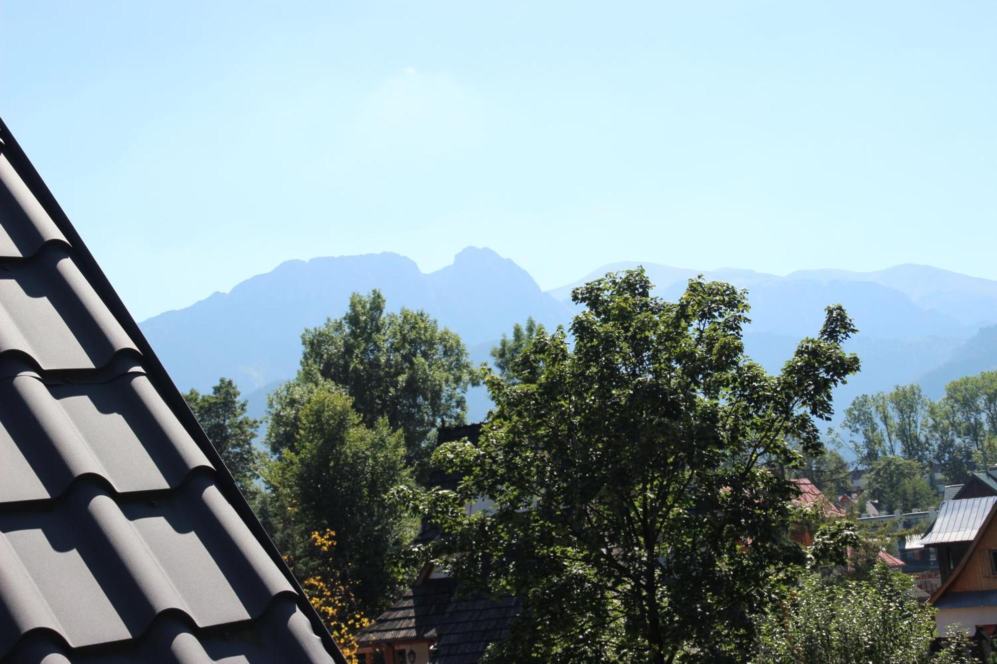 ZAKOsunflower Zakopane Zewnętrze zdjęcie